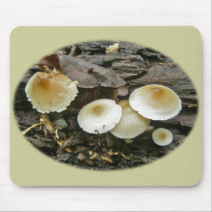 Little Parasols Mushrooms on Log Mouse Pad