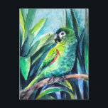 Little parrot postcard<br><div class="desc">Little green parrot,  hahn’s macaw,  funny and clever little bird,  watercolor painting</div>