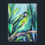 Little parrot postcard<br><div class="desc">Little green parrot,  hahn’s macaw,  funny and clever little bird,  watercolor painting</div>