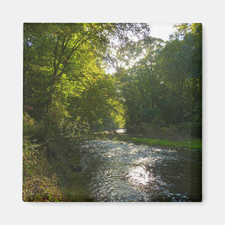 Little Patuxent River from Savage Park Magnet