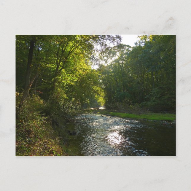 Little Patuxent River from Savage Park Postcard (Front)