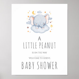 Little Peanut Baby Shower Sign – Boy