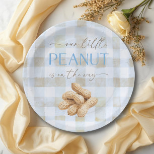 Little Peanut Boy Blue Gingham Baby Shower Paper Plate