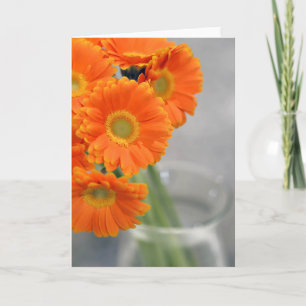 Little Philly Orange Daisy Photography Blank Card