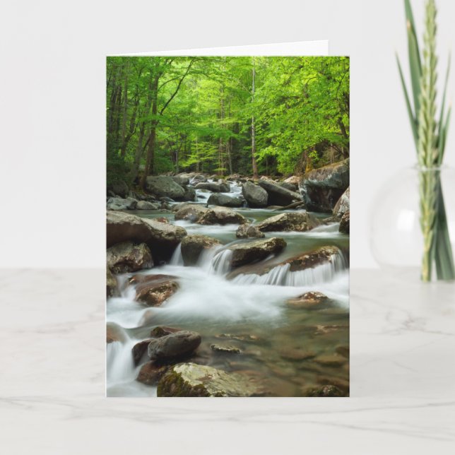 Little Pigeon River at Greenbrier Card (Front)