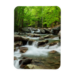 Little Pigeon River at Greenbrier Magnet