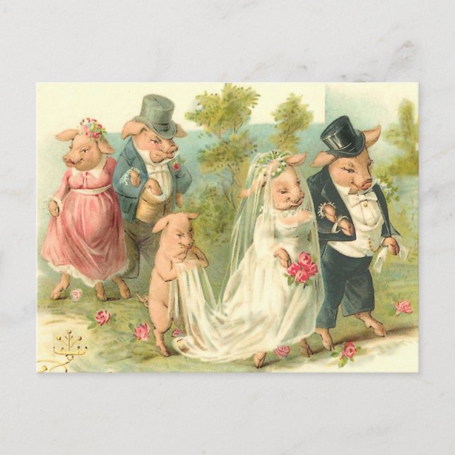 Little Piggy Wedding Postcard (Front)