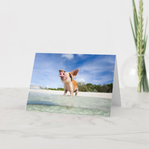 Little piglet card