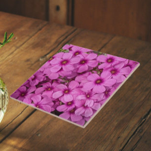 Little Pink Oxalis Flowers Floral Tile
