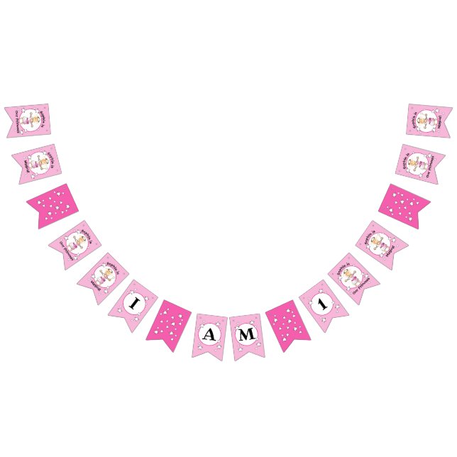 Little Pink Princess Birthday Banner for Her (All)