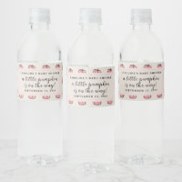 Little Pink Pumpkin Baby Girl Shower