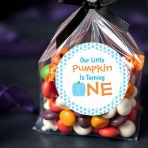 Little Pumpkin 1st Birthday Classic Round Sticker