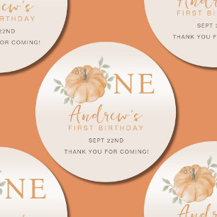 Little Pumpkin Autumn Fall One First 1st Birthday  Classic Round Sticker