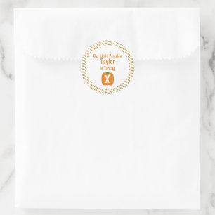 Little Pumpkin Birthday Classic Round Sticker