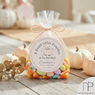 Little Pumpkin Blush Pink Fall Baby Shower Classic Round Sticker