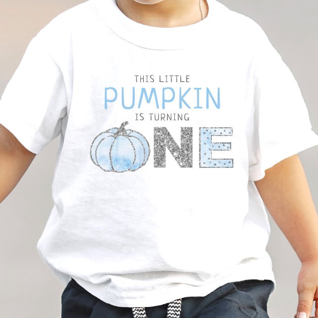 Little Pumpkin Boys 1st Birthday Baby T-Shirt (Creator Uploaded)