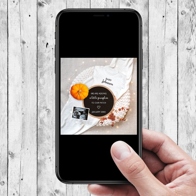 Little Pumpkin Fall Digital Photo Pregnancy Announcement (little pumpkin fall digital pregnancy announcement autumn pregnancy reveal )