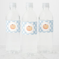 Little Pumpkin pastel blue plaid first birthday