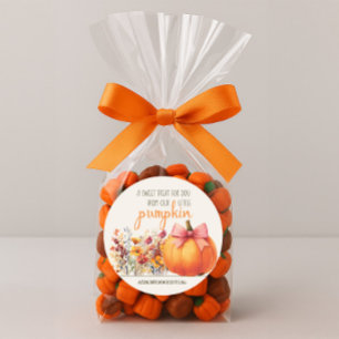 Little Pumpkin Sweet Treat Baby Shower Classic Round Sticker
