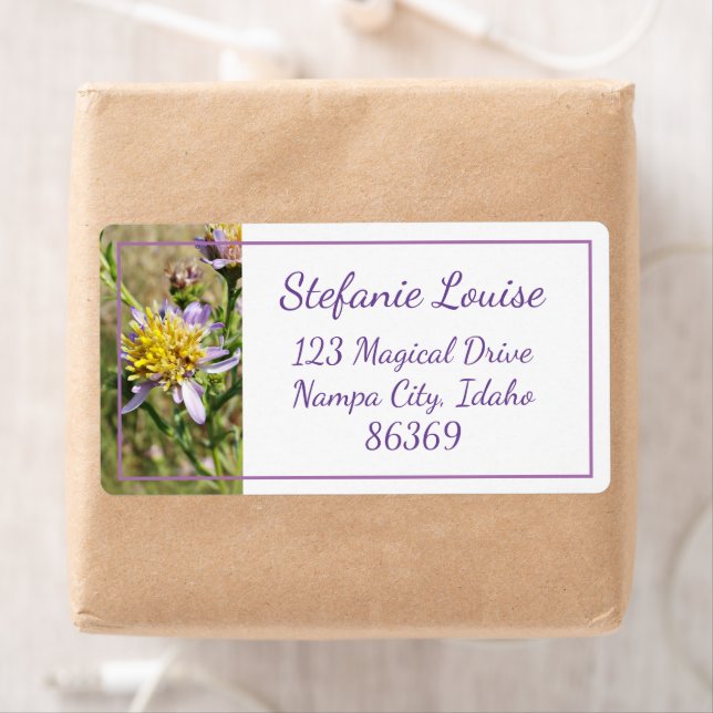 Little Purple Daisies (Insitu)