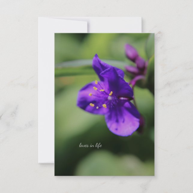 Little Purple Flower Up-close Card (Front)