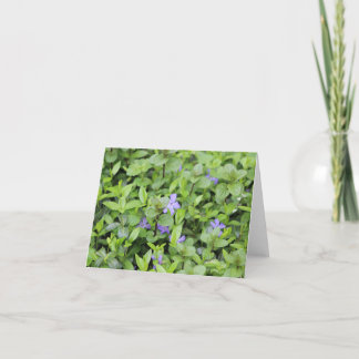 Little Purple Flowers Holiday Card