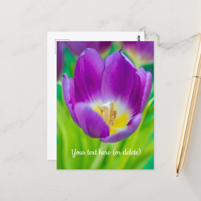 Little Purple Tulip Postcard (Front/Back In Situ)