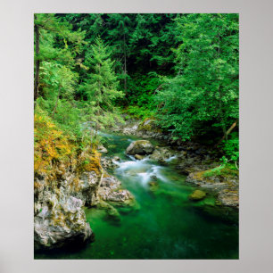 Little Qualicum River Poster