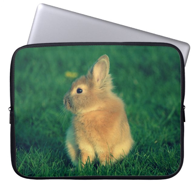 Little rabbit laptop sleeve (Front)