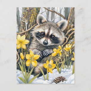 Little Racoon Among Spring Oaks Postcard