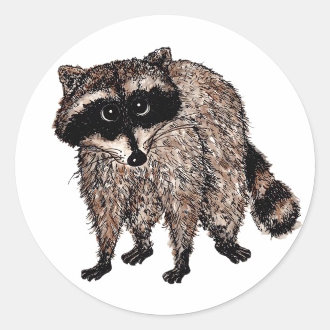 Little Racoon Classic Round Sticker (Front)