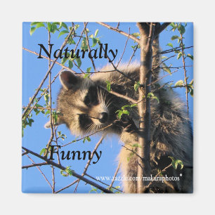 Little Racoon Magnet-customise Magnet