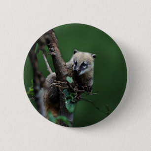 Little rascals coati - lemur 6 cm round badge