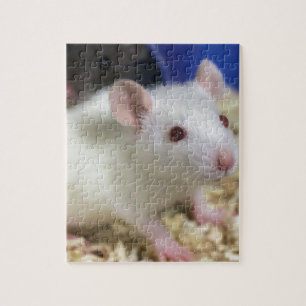 Little rat jigsaw puzzle
