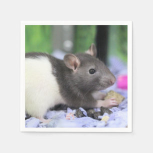 Little rat napkin
