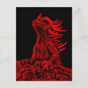 Little red Dragon Postcard