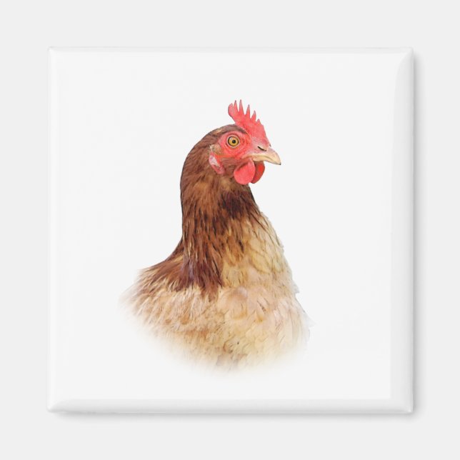 Little Red Hen Magnet (Front)