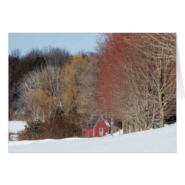 Little Red House (Front Horizontal)
