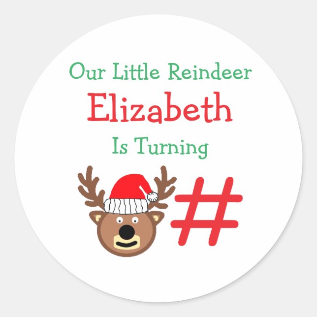 Little Reindeer Kids Birthday Classic Round Sticker (Front)