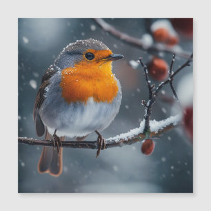 Little robin bird sitting on a branch at winter