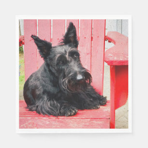 Little Scottie in a Big Red Chair Napkin