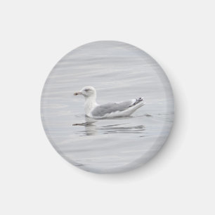Little seagull magnet