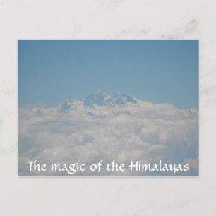 Little Seeds Post Card 4