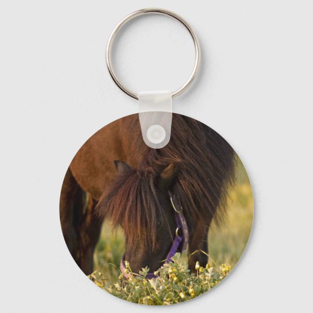 Little Sharni Shetland Pony Key Ring (Front)
