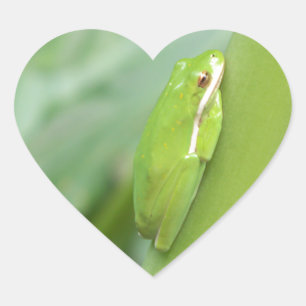 little sleepy green tree frog heart sticker