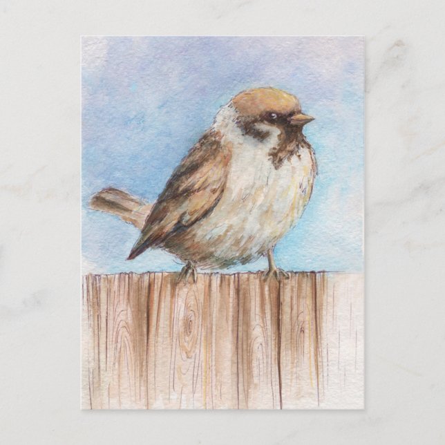 Little sparrow postcard (Front)