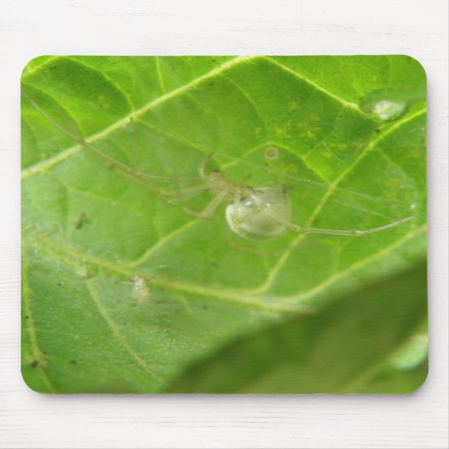 Little Spider Mousepad (Front)