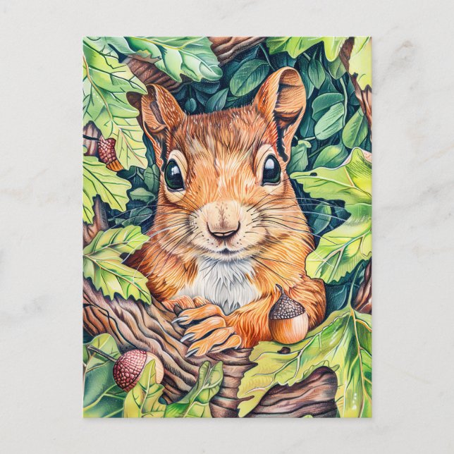 Little Squirrel in Oak Tree Postcard (Front)