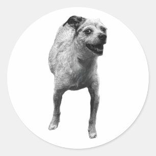 Little Sticker, Big Smile Classic Round Sticker
