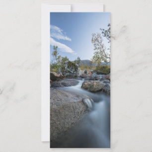 Little Stream Nature photo card